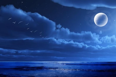 Midnight Moon >> HD Wallpaper, Get It Now!