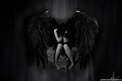 Ange Noir Picture 1440x900 Wallpapers