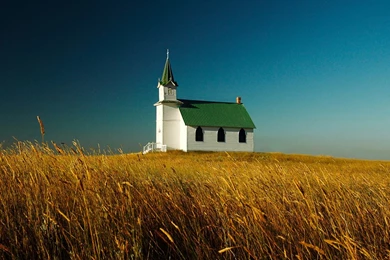 Photography   Page 307