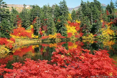 Nature And Tourism Of Hokkaido － Landscape Wallpapers   Free ...