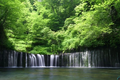 Download Wallpapers Rain Forest, Hokkaido (1920 X 1200 Widescreen ...