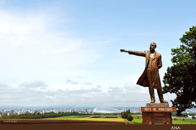 Hokkaido, Japan Wallpapers 6447   Rural Scenery   Landscape Scenery