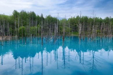 Water Japan Blue Landscapes Nature Trees Hokkaido Wallpapers ...