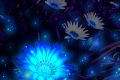 Midnight Blue By Jaego17 On DeviantArt