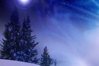 Download Wallpapers 3840x2160 Christmas Trees, Snow, Winter ...