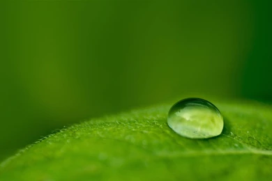 Nature Backgrounds Free Download