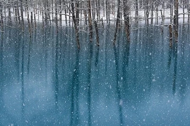 Biei Hokkaido iPhone 4s Wallpapers Download