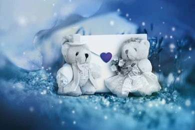 Download Animated Wallpapers For PC,desktop Wallpapers