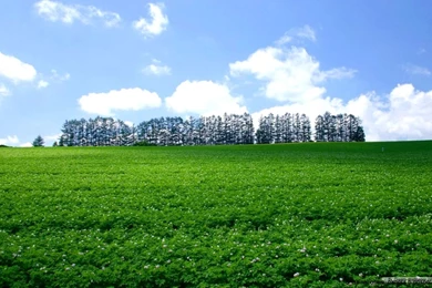 Free Travel Wallpapers Japan Hokkaido Wallpapers