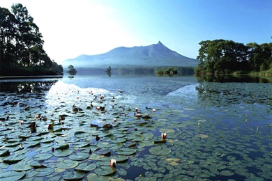 Spring Lake Wallpapers 2   Crazy Frankenstein