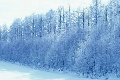 Beautiful Winter In Japan Hokkaido, 180 Wallpapers     Wallcoo.net