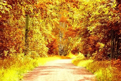 Natural Background Images