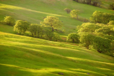 Green Hills Desktop Wallpapers   HD Wallpaper Backgrounds Of Your ...
