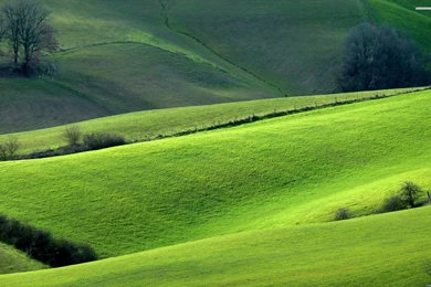 2015 10 08   Page 116