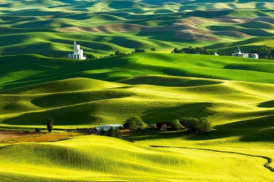 Green Hills Landscape Wallpapers
