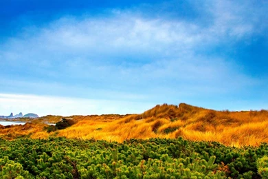 High Definition Nature Photography Wallpapers 1280x1024 Laptop ...