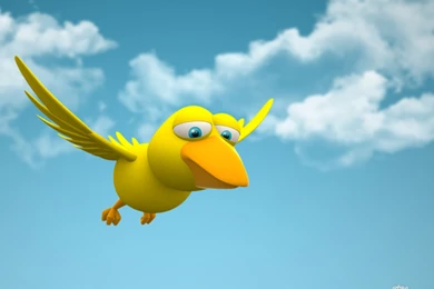 Funny 3D Bird
