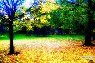 Wallpapers Artistic Nature Beautiful Graphic Hd Free 980x612 ...