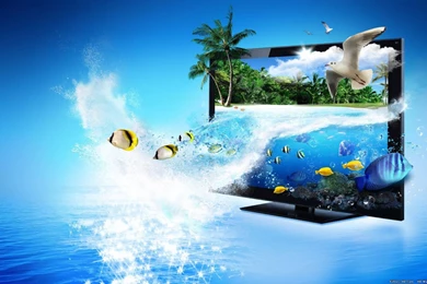 Coffee Owl Hd Creative Graphics HD Wallpapers