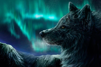 Download The Borealis Wolf Wallpaper, Borealis Wolf iPhone ...