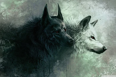 Wolf HD Desktop Wallpapers : High Definition : Fullscreen : Mobile