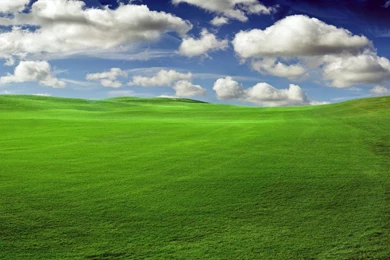 Wallpaper, Windows, Vista, Backgrounds, Romantic, Contrast ...