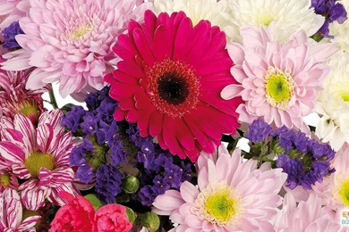 Sweet Wallpapers For Desktop Wallpapers » WallDevil   Best Free HD ...