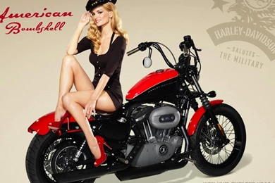 HARLEY WALLPAPER   (