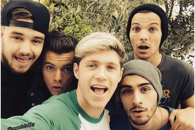 One Direction Wallpapers HD Download