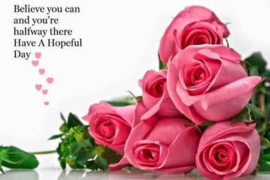 Inspirational Quotes & Nature Wallpapers: Fresh Morning ,Good ...