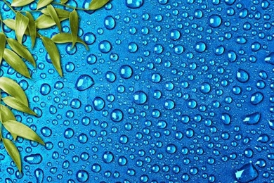 Green Leaves On The Blue Water Backgrounds Stock Photo