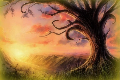 Silence In Fall Season   (