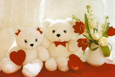 HD: Green Frog Animal Wallpapers HD Wallpapers