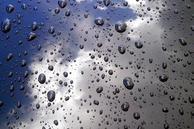 60 Wonderful Raindrops HD Wallpapers For Inspiration