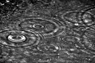 Rain, Raindrops, Weather, Background, Wallpapers (