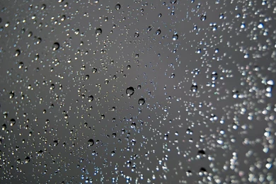 Raindrops On Window HD Backgrounds Wallpapers