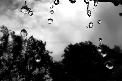 Raindrops Wallpapers By Richardxthripp On DeviantArt