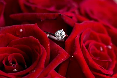 Diamond Ring Red Roses Wallpapers