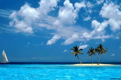 Windows Xp Island Wallpapers