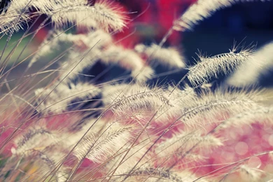 2560X1440 Wallpapers, HD, Widescreen, Computer Desktop Wallpapers ...