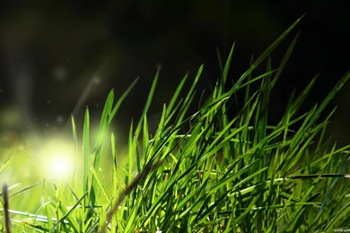 High Resolution Nature Backgrounds Full Size   SiWallpaperHD 10609