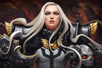 Wallpapers Woman, Skull, Warrior, Knight, Diablo 3, Diablo ...