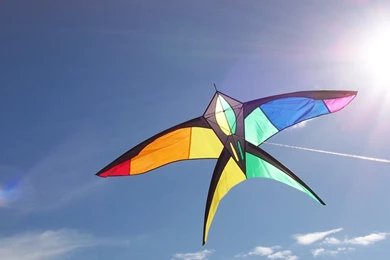 Makar Sankranti 2015 Huge Kite Hd Wallpapers
