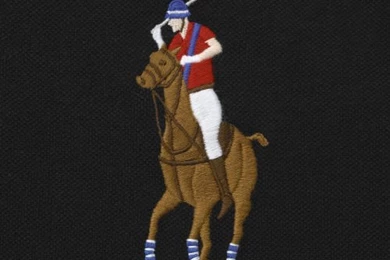 Ralph Lauren Polo Logo Image