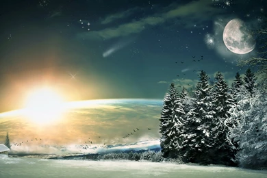 Download Wallpapers 1920x1080 Moon, Fir trees, Birds, Wood, Sun ...