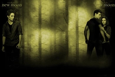 Backgrounds   Twilight Crepúsculo Fan Art (7774018)   Fanpop   Page 4