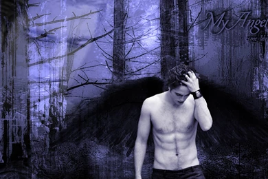Edward Cullen, Angel, Twilight, Wallpaper, Series, Pozadia ...