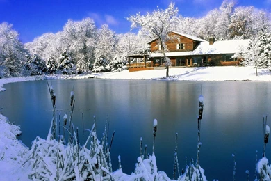 Free Wallpapers Winter   Wallpapers Cave