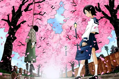234 Sayonara, Zetsubou Sensei HD Wallpapers