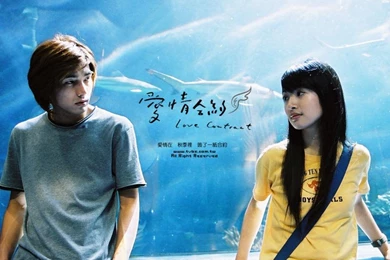 Love Couple Wallpapers Download Couples Wallpapers   PetPictures